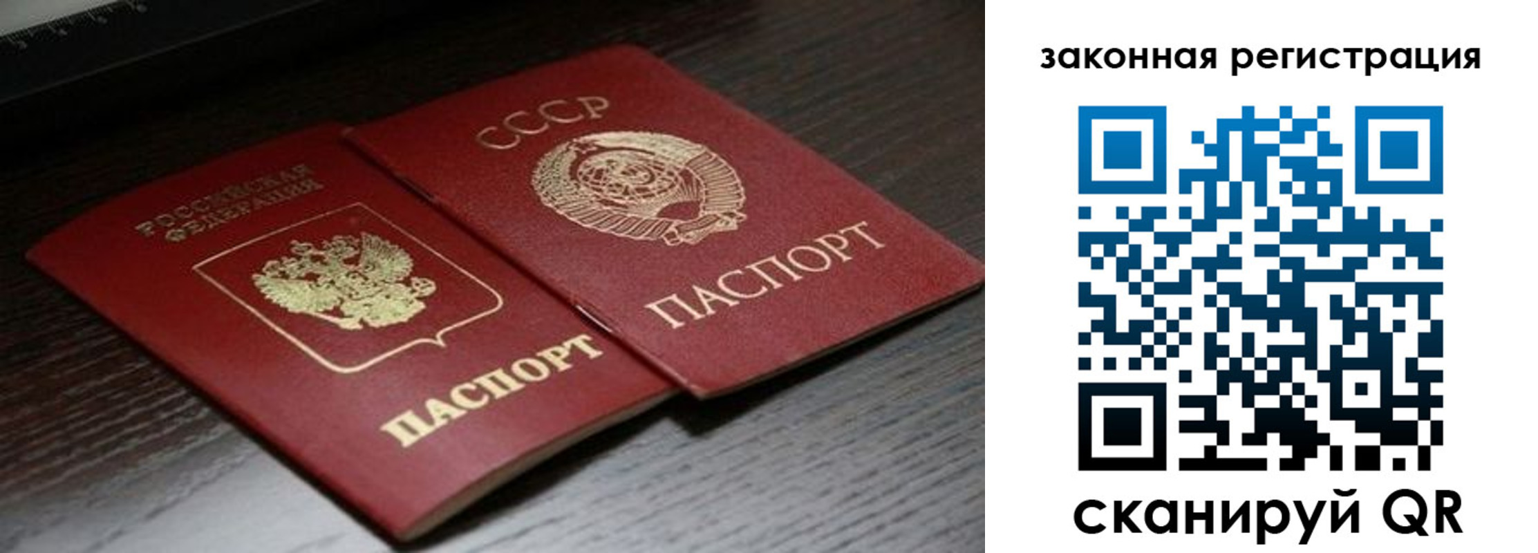 прописка поиск в Красноярске